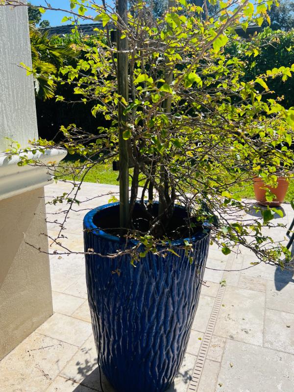 Sale Photo Thumbnail #176