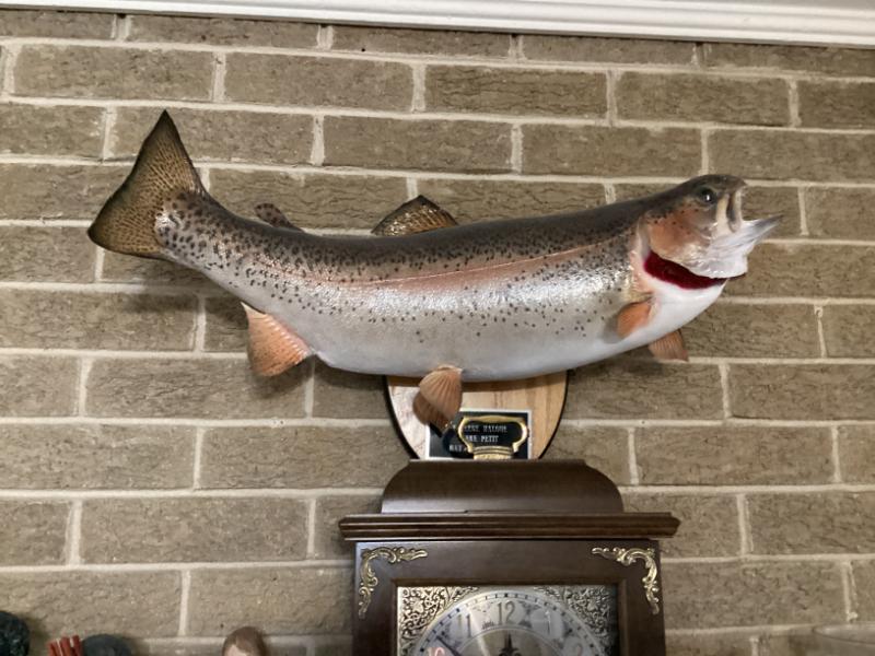 Sale Photo Thumbnail #196