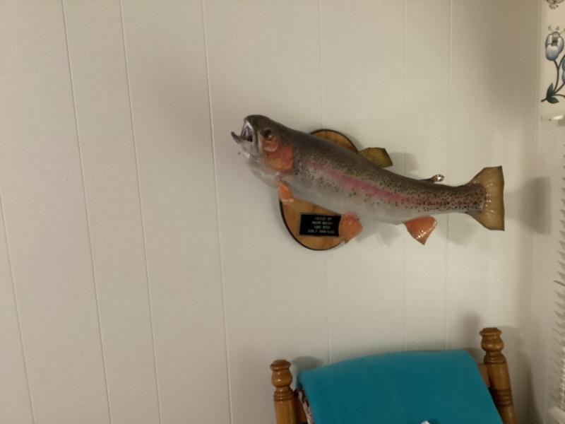 Sale Photo Thumbnail #198