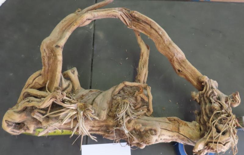 Sale Photo Thumbnail #519