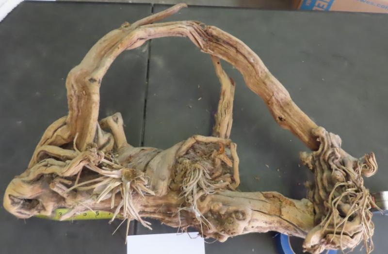 Sale Photo Thumbnail #518