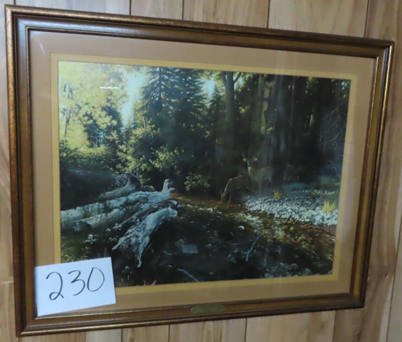 Sale Photo Thumbnail #748