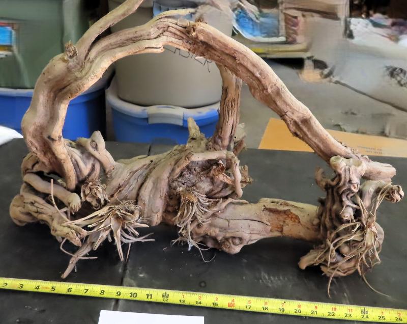 Sale Photo Thumbnail #520