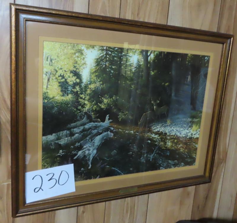 Sale Photo Thumbnail #747