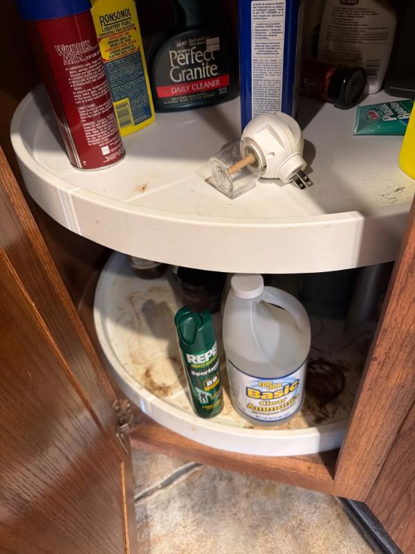 Sale Photo Thumbnail #626