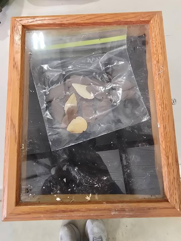 Sale Photo Thumbnail #216