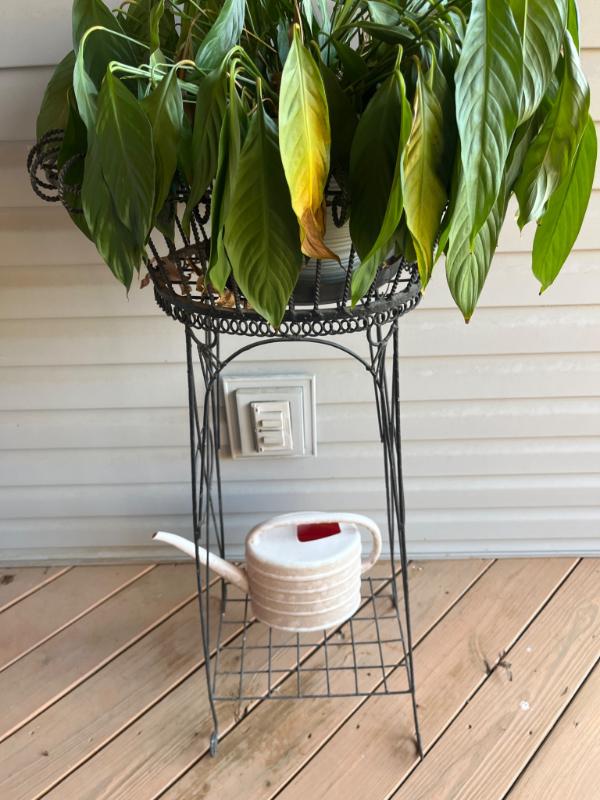 Sale Photo Thumbnail #867