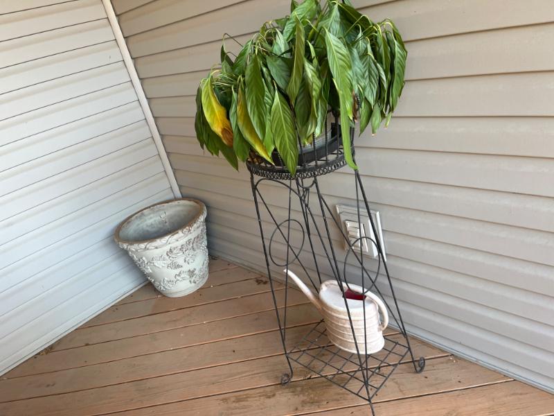 Sale Photo Thumbnail #865