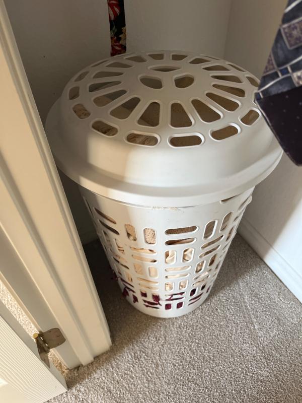 Sale Photo Thumbnail #767