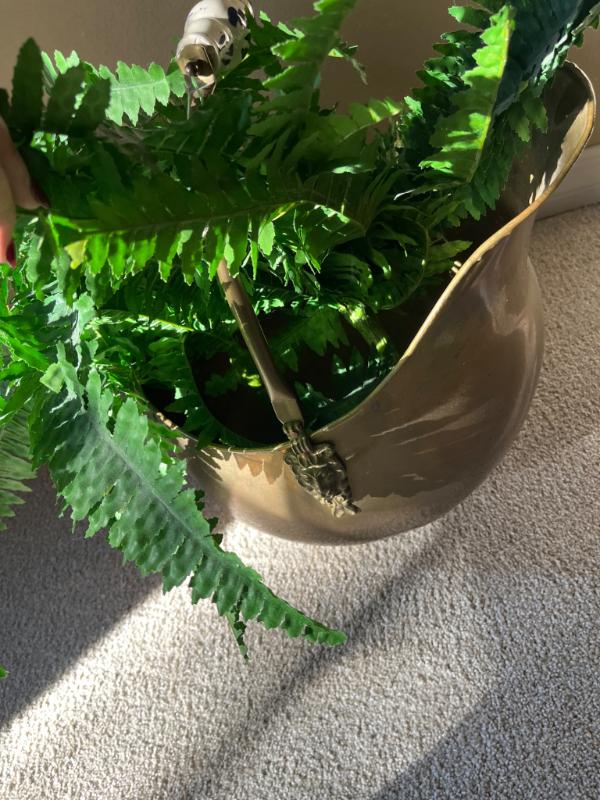 Sale Photo Thumbnail #829