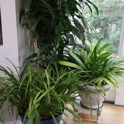 Sale Photo Thumbnail #62