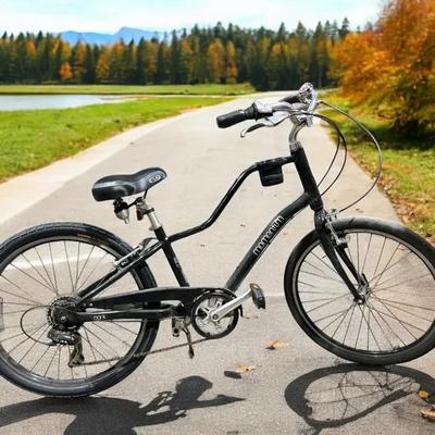 Momentum Leisure Bicycle