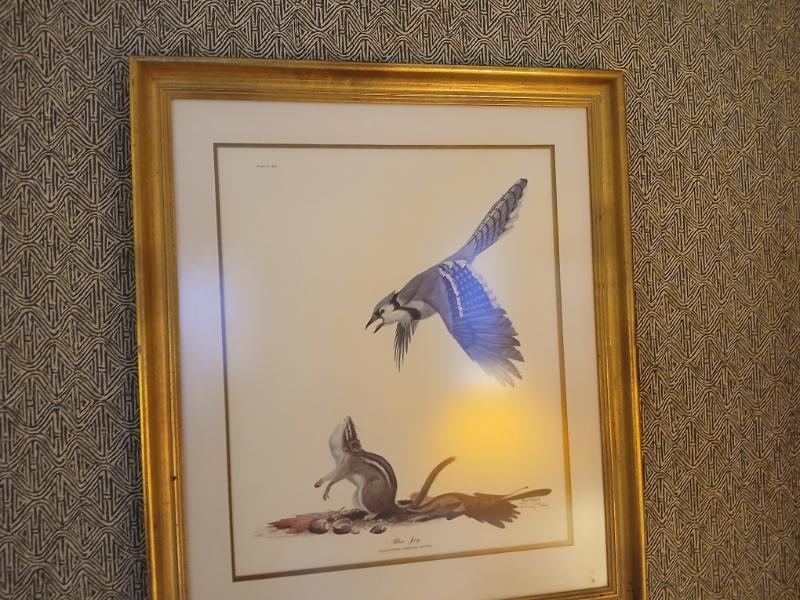 Sale Photo Thumbnail #85