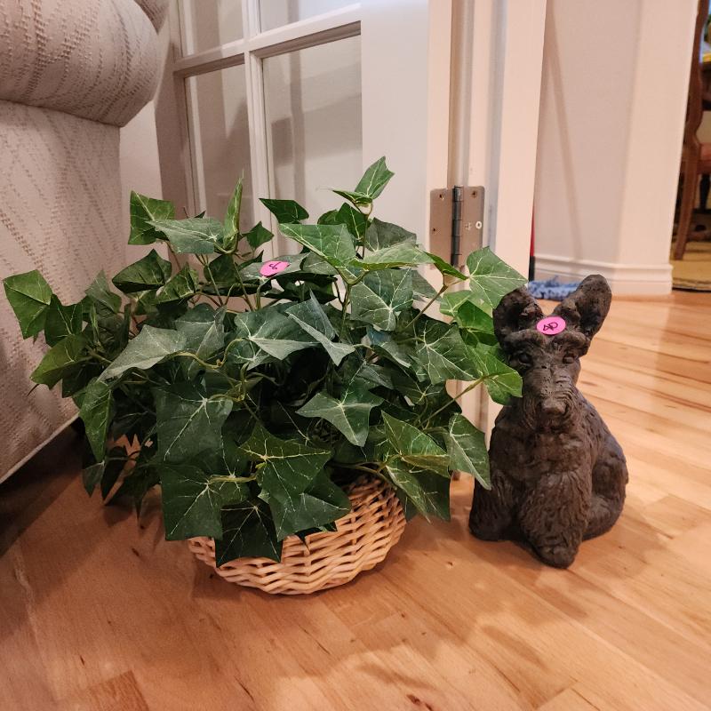 Sale Photo Thumbnail #85