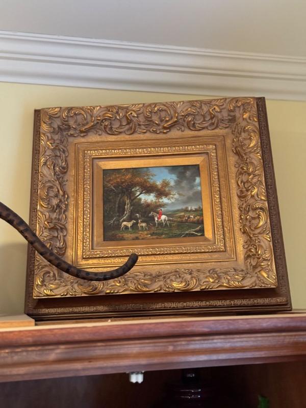 Sale Photo Thumbnail #11