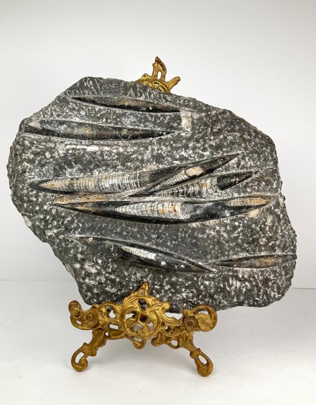 Sale Photo Thumbnail #73