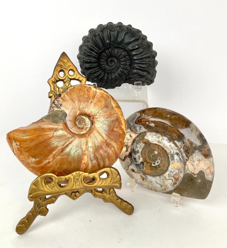 Sale Photo Thumbnail #77