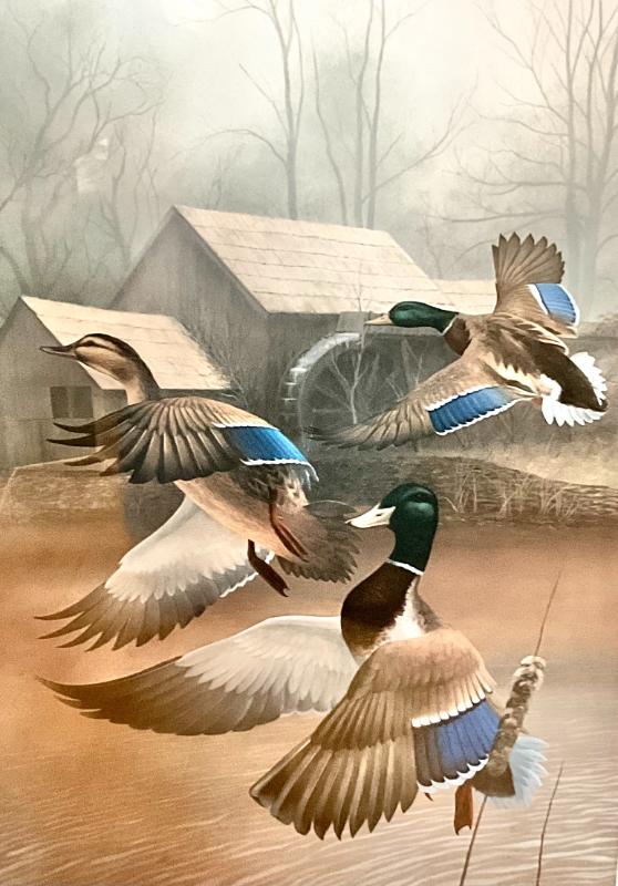 Sale Photo Thumbnail #74