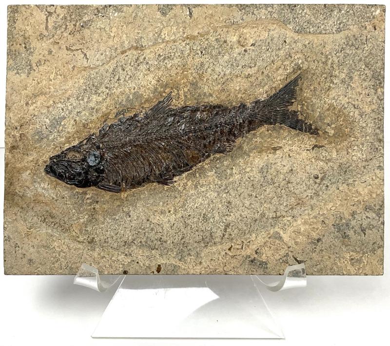 Sale Photo Thumbnail #8