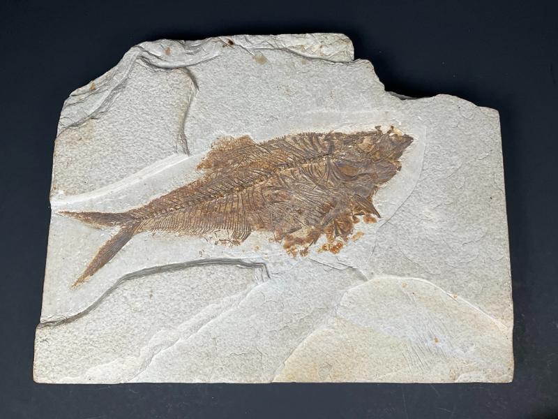 Sale Photo Thumbnail #78