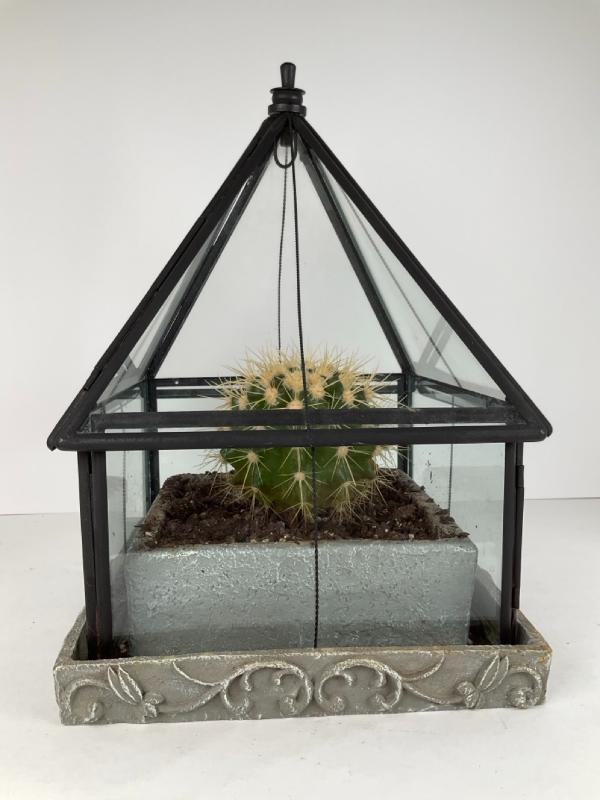 Sale Photo Thumbnail #40