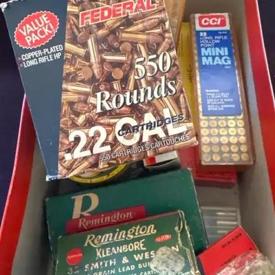 Lot 109:  Mixed Vintage Ammunition Lot – .22 LR, .38 S&W, Federal, Remington, and CCI