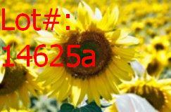 Sale Photo Thumbnail #909