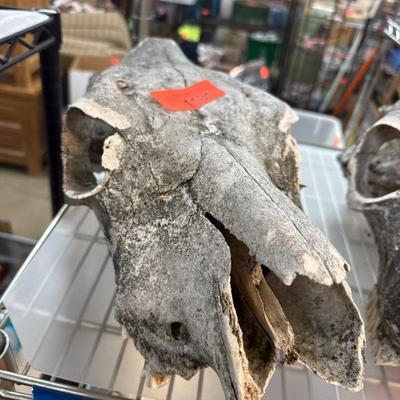 Sale Photo Thumbnail #357