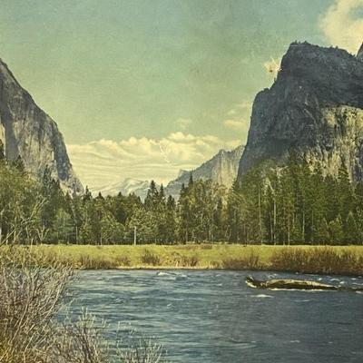 Sale Photo Thumbnail #281