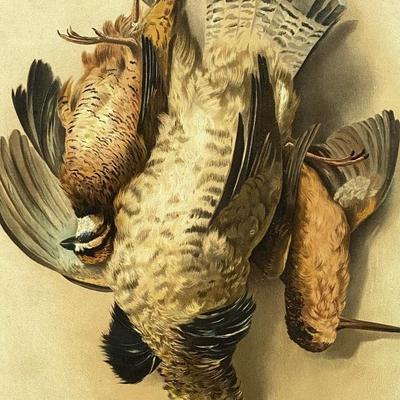 Sale Photo Thumbnail #179