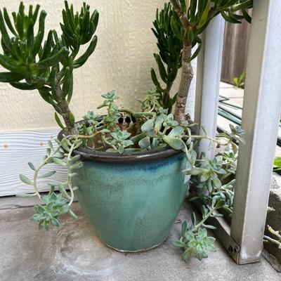 Sale Photo Thumbnail #13