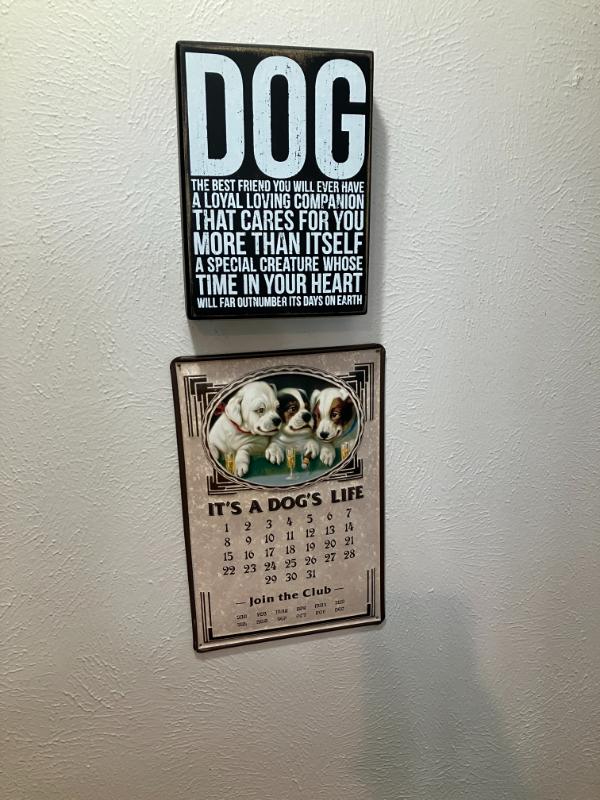 Sale Photo Thumbnail #17