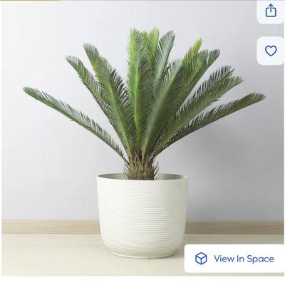 Sale Photo Thumbnail #650