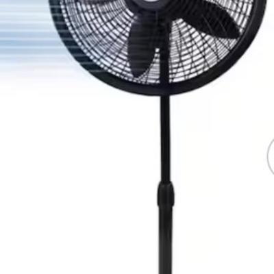 Sale Photo Thumbnail #316