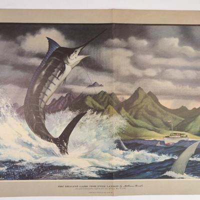 Sale Photo Thumbnail #61