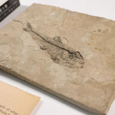 Sale Photo Thumbnail #392