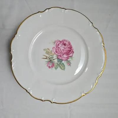 Vintage Dundee Dinner Plates Set Of Eight by Hutschenreuther Selb