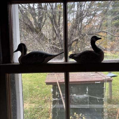 Sale Photo Thumbnail #183