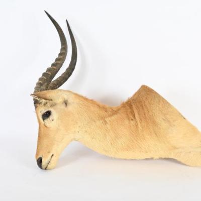 Sale Photo Thumbnail #113