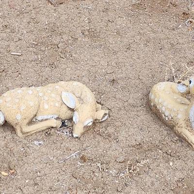 Sale Photo Thumbnail #242