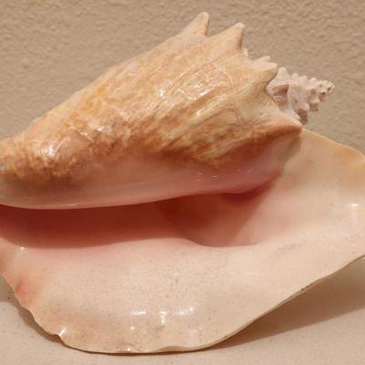 Sale Photo Thumbnail #39