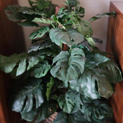 Sale Photo Thumbnail #57