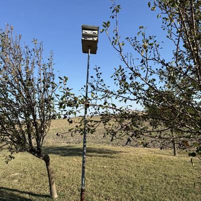 Sale Photo Thumbnail #91