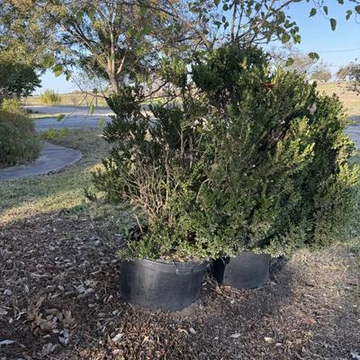 Sale Photo Thumbnail #86