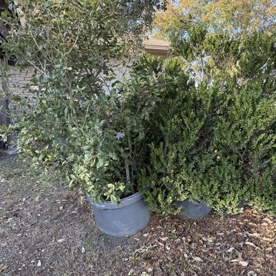 Sale Photo Thumbnail #87