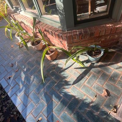 Sale Photo Thumbnail #282