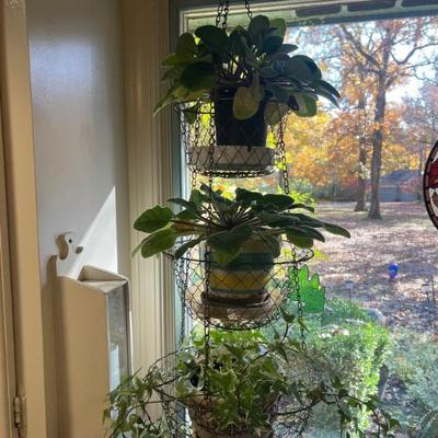 Sale Photo Thumbnail #106