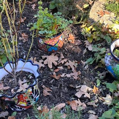 Sale Photo Thumbnail #277