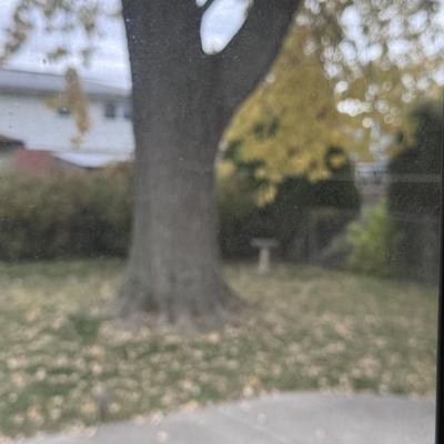 Sale Photo Thumbnail #156