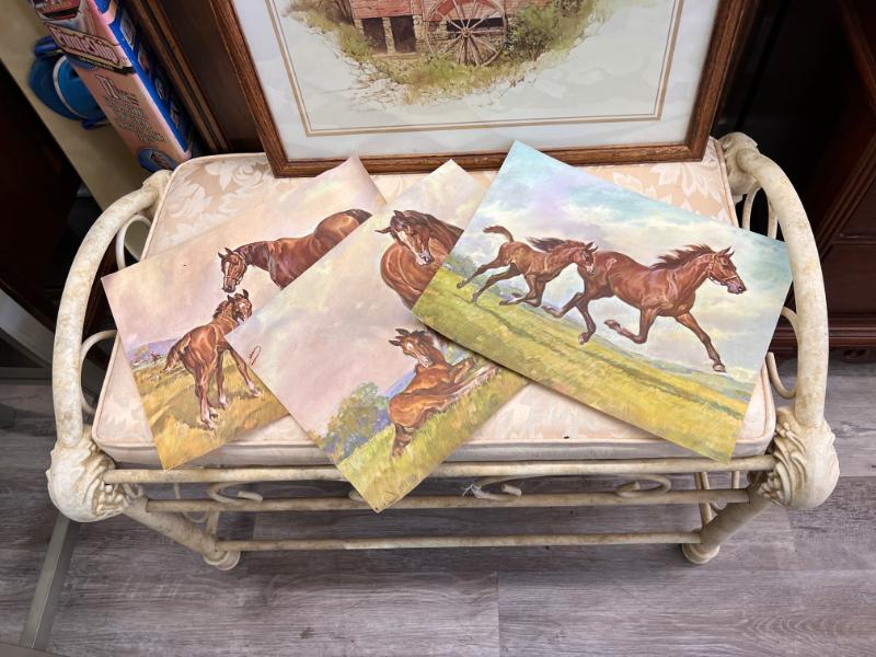 Sale Photo Thumbnail #5